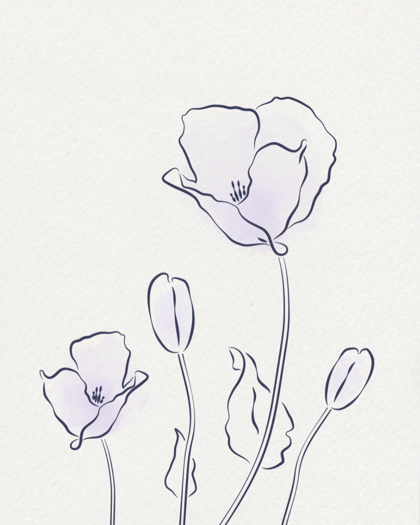 Piirroskuva kukasta.